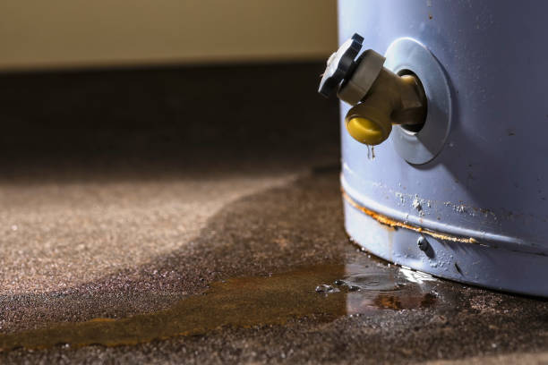 Best Professional water damage repair  in Del Norte, CO