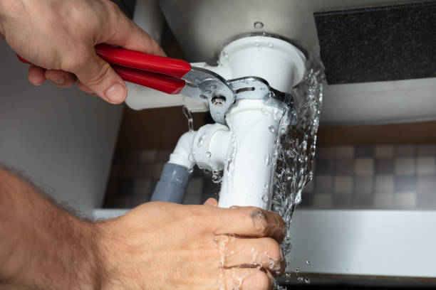 Best Water damage restoration mold remediation  in Del Norte, CO