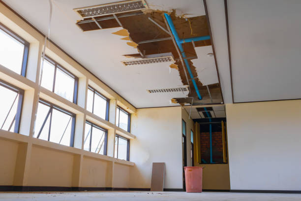 Best Basement water damage restoration  in Del Norte, CO