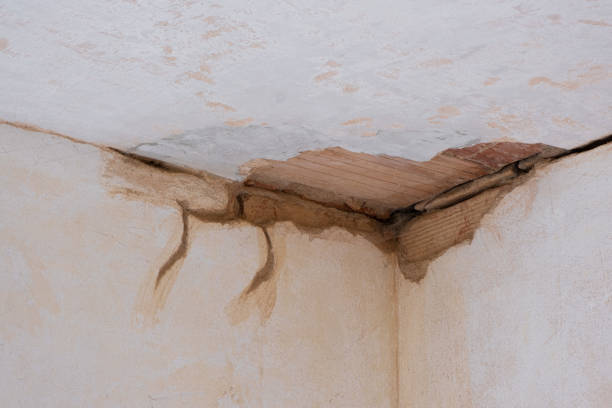  Del Norte, CO Water damage restoration Pros