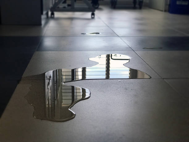 Best 24-hour water damage restoration  in Del Norte, CO