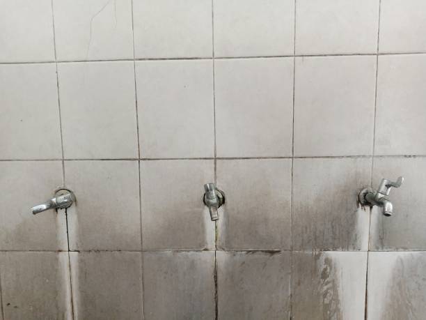 Best Water damage contractors near me  in Del Norte, CO