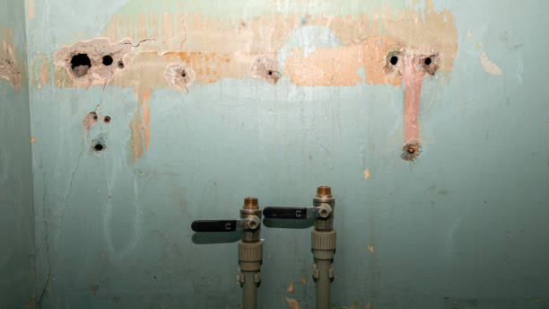 Best Sewage cleanup and water damage restoration  in Del Norte, CO