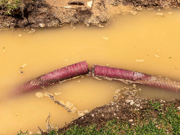 Best Water damage restoration near me  in Del Norte, CO