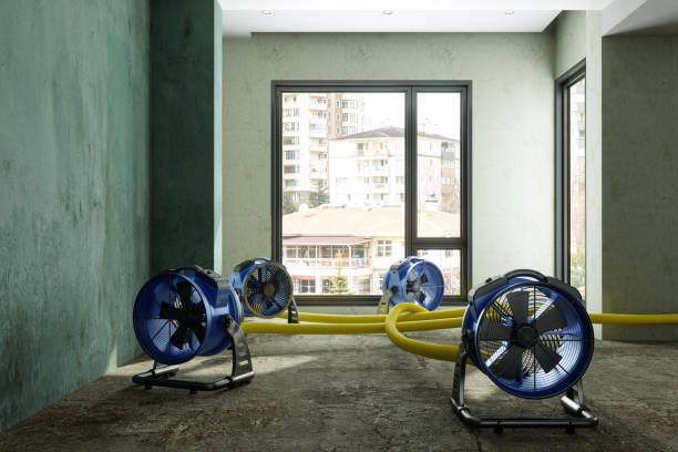 Best Emergency water damage restoration  in Del Norte, CO