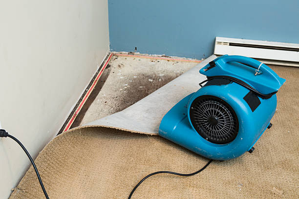 Water damage restoration insurance claims in CO